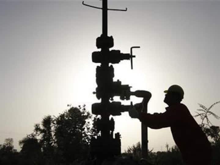 Investment decision only after clarity on gas price: RIL