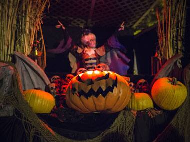 #ScaryStoriesIn5Words: Here's how Twitter celebrated Halloween