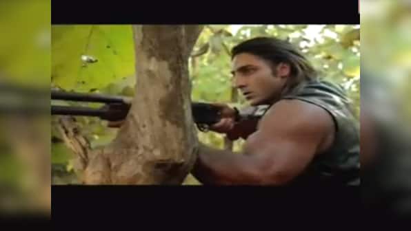 Roar review: Shorbonash! Kamal Sadanah's film on man-eaters may turn tigers suicidal