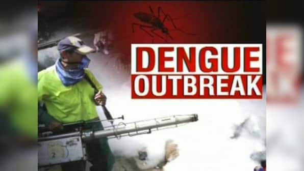 With sudden rise, Mumbai sees highest dengue cases in 2014