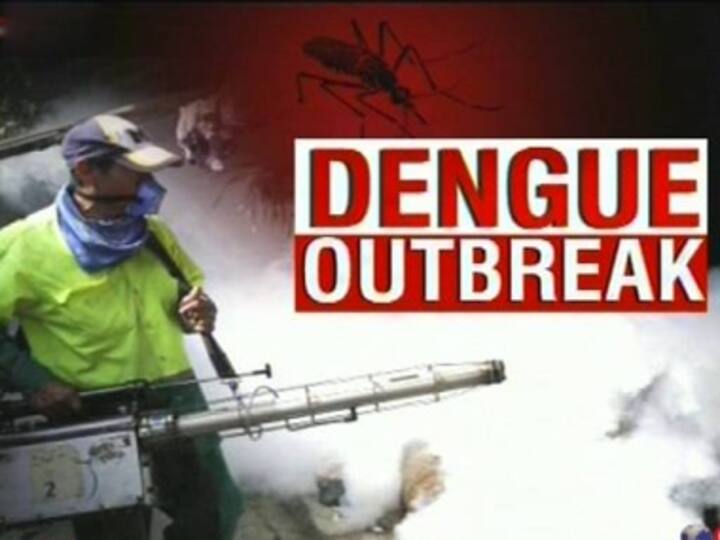 With sudden rise, Mumbai sees highest dengue cases in 2014