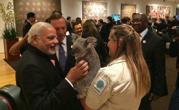 G20: Furry Koala holds Modi and leaders' wives' attention