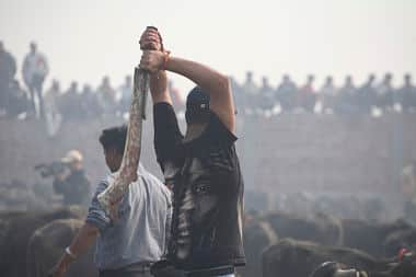 A man who is specially assigned to slaughter animals takes part in a mass sacrifice of the buffaloes near Gadimai Temple. Reuters