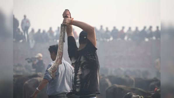 Nepal: Hindu devotees to defy protests over mass animal slaughter 