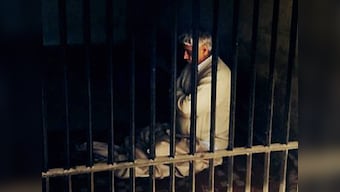 SIT continues search in Rampal's ashram, conducts verification on people with criminal record