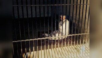Haryana police find more arms and ammunition from Rampal's Satlok Ashram