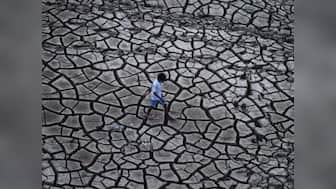 Firstpost Ground Report: How a Marathwada village fought its way out of crippling drought