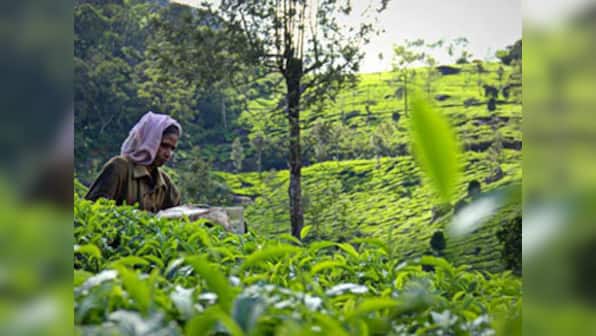 Unicef-ETP partnership to help children living in tea gardens