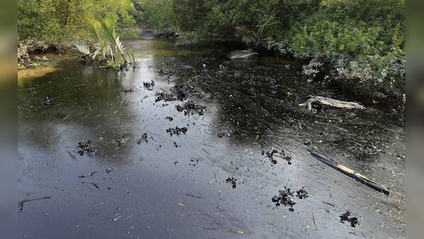 Photos: Catastrophic oil spill in Sunderbans wrecks havoc with rare ecosystem