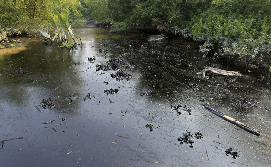 Photos: Catastrophic oil spill in Sunderbans wrecks havoc with rare ecosystem Photos: Catastrophic oil spill in Sunderbans wrecks havoc with rare ecosystem
