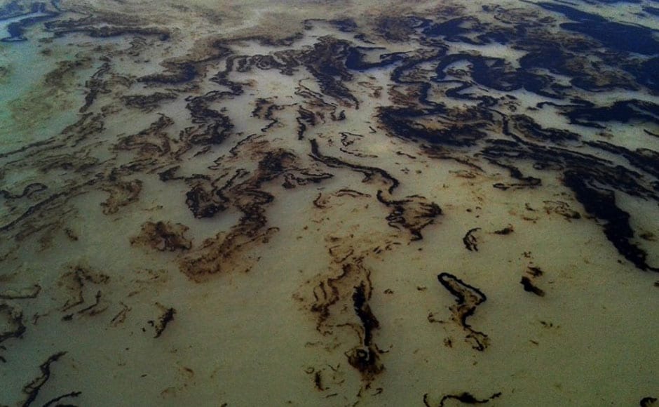 Photos: Catastrophic oil spill in Sunderbans wrecks havoc with rare ...