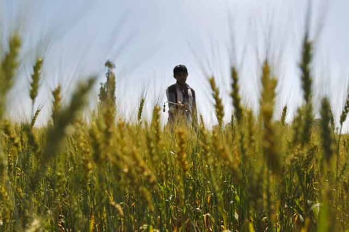 Land acquisition Act, UPA's poison pill, is likely to be defanged before budget session