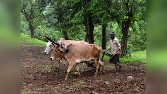 Cabinet clears ordinance on Land Acqusition Act, makes it easier to acquire land
