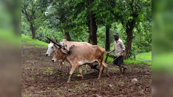 Cabinet clears ordinance on Land Acqusition Act, makes it easier to acquire land