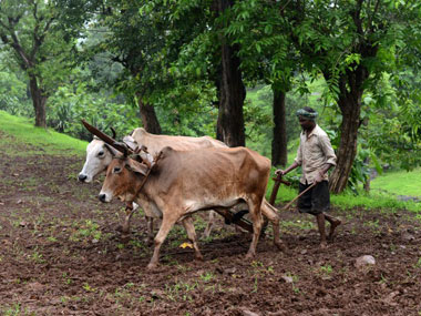 India has enough land for farming but there are other bigger issues to worry about India has enough land for farming but there are other bigger issues to worry about