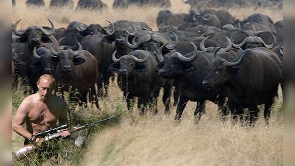 Can Putin find Azam Khan's buffaloes? Things Russian president must do in India