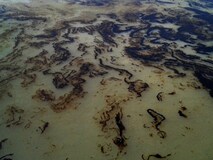 Kuwait desert oil spill sparks 'state of emergency'