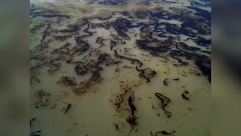 Kuwait oil spill: Emergency workers cleaned up major part, say officials