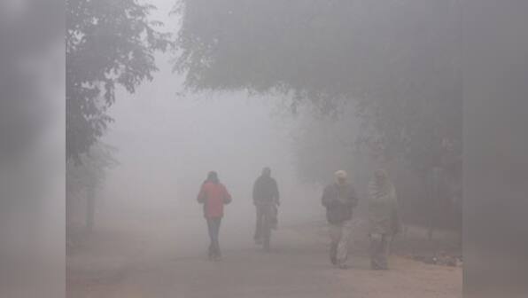 Uttar Pradesh paralysed by intense cold, 31 dead