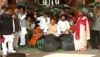 Black umbrellas to red shawls: A look at TMC and their innovative protest props