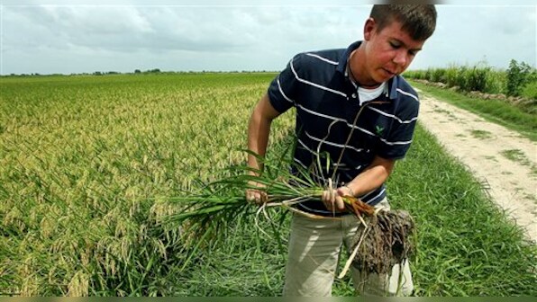 US, Cuba restore ties after 50 years: What it means for farmers, casinos and fast food joints