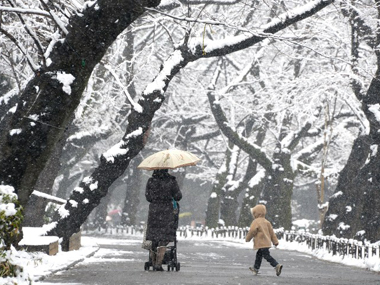 Snow storm in Japan kills 11, forecasters say bad weather to continue Snow storm in Japan kills 11, forecasters say bad weather to continue