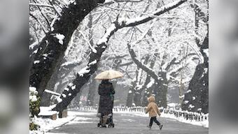 Snow storm in Japan kills 11, forecasters say bad weather to continue