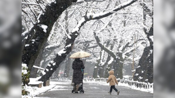 Snow storm in Japan kills 11, forecasters say bad weather to continue