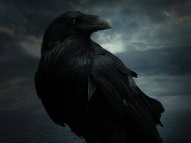 Watch GoT teasers: Arya Stark aka Maisie Williams reveals more than The Sight Watch GoT teasers: Arya Stark aka Maisie Williams reveals more than The Sight