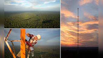 Photos: The incredible views from the amazing Amazon Tall Tower Observatory 