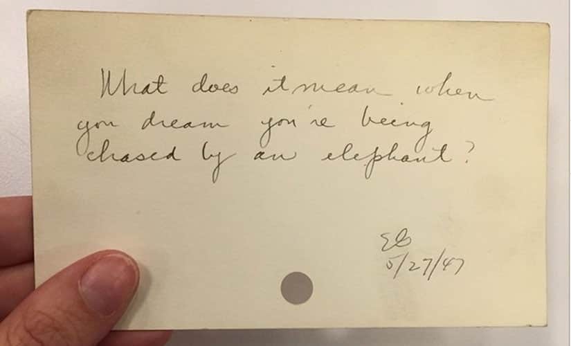Image: New York Public Library social media account. 