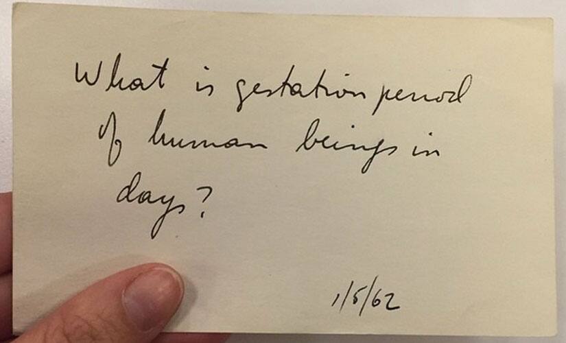 Image from New York Public Library Instagram account 