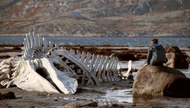A scene from the film, Leviathan. AP