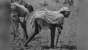 Sainath's PARI to focus on rural India, narrate untold stories of everyday lives