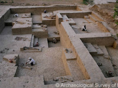 Excavation reveals UP's Chandayan village holds key to later Harappan phase Excavation reveals UP's Chandayan village holds key to later Harappan phase
