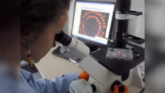 Scientists create new antibiotic which can fight superbugs, drug-resistant TB 