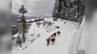 Cold wave returns in north India: Fresh spell of snowfall in Kashmir's Gulmarg