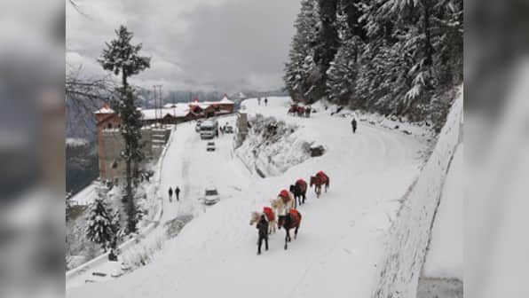 Cold wave returns in north India: Fresh spell of snowfall in Kashmir's Gulmarg