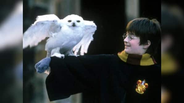 Calling all Harry Potter fans: Invisibility cloaks one step closer to reality, say scientists