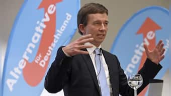 Insight - German eurosceptic party at crossroads before key election