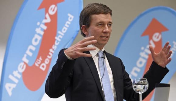 Insight - German eurosceptic party at crossroads before key election Insight - German eurosceptic party at crossroads before key election