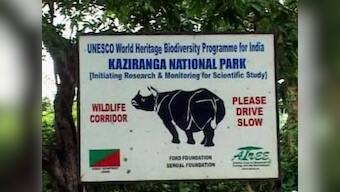 Forest guards kill three poachers in Kaziranga National Park encounter