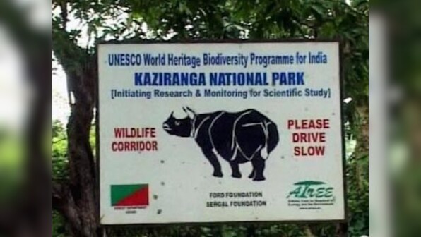 Forest guards kill three poachers in Kaziranga National Park encounter