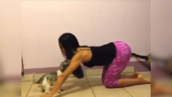 Cuteness overload: Watch these pets ruin their owners' yoga routine