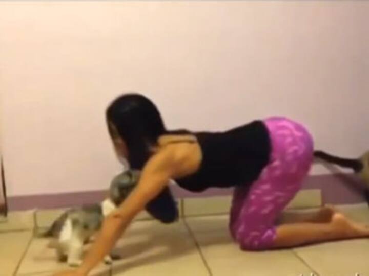 Cuteness overload: Watch these pets ruin their owners' yoga routine Cuteness overload: Watch these pets ruin their owners' yoga routine