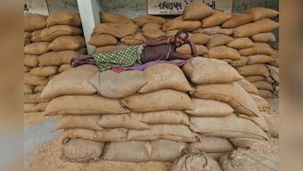 U.S. farm lobbies call for action over India, China subsidies