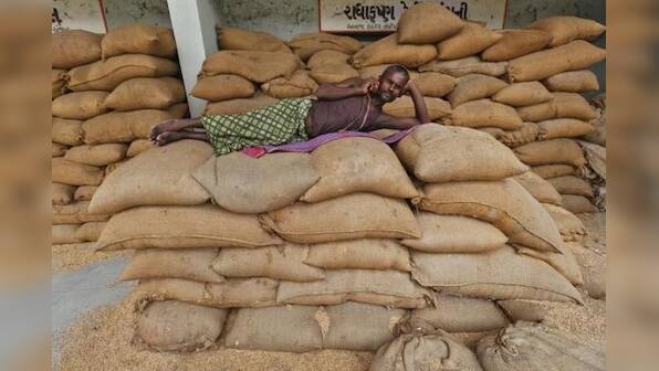 U.S. farm lobbies call for action over India, China subsidies