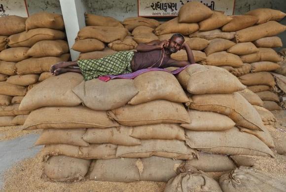 U.S. farm lobbies call for action over India, China subsidies U.S. farm lobbies call for action over India, China subsidies