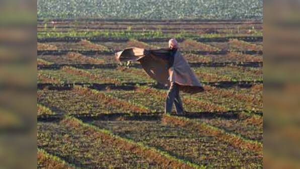 Agriculture Minister Radha Mohan pitches for GM crops to boost output