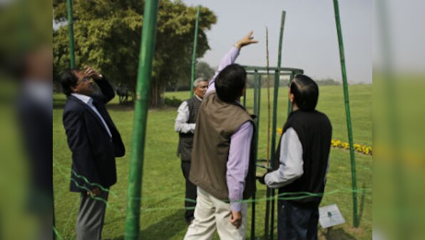 There might be no leaves, but Obama's tree is not dead, say Indian officials 